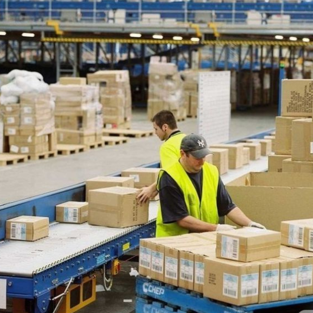 Customs clearance professionals inspecting cargo packages at a logistics warehouse